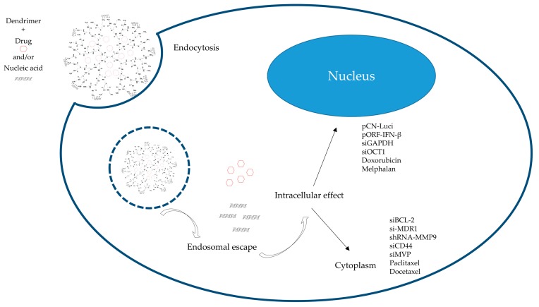 An external file that holds a picture, illustration, etc.
Object name is molecules-22-01401-g003.jpg