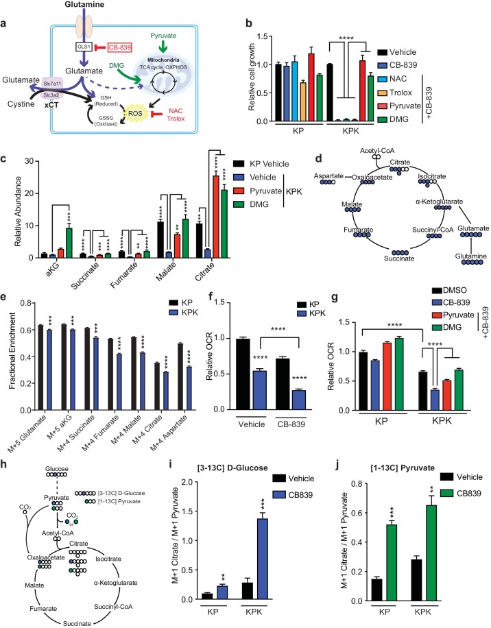 An external file that holds a picture, illustration, etc.
Object name is elife-28083-fig3.jpg