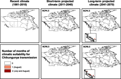 Five maps indicating recent climate (1981 2010), short-term projected climate (2011 2040) for RCP4.5 and RCP8.5, and long-term projected climate (2041 2070) for RCP4.5 and RCP8.5. The number of months of climatic suitability for Chikungunya transmission are 0, 1 (August), and 2 (July and August).