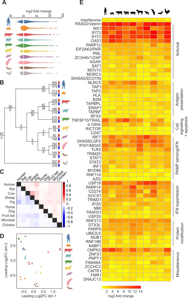 An external file that holds a picture, illustration, etc.
Object name is pbio.2004086.g001.jpg