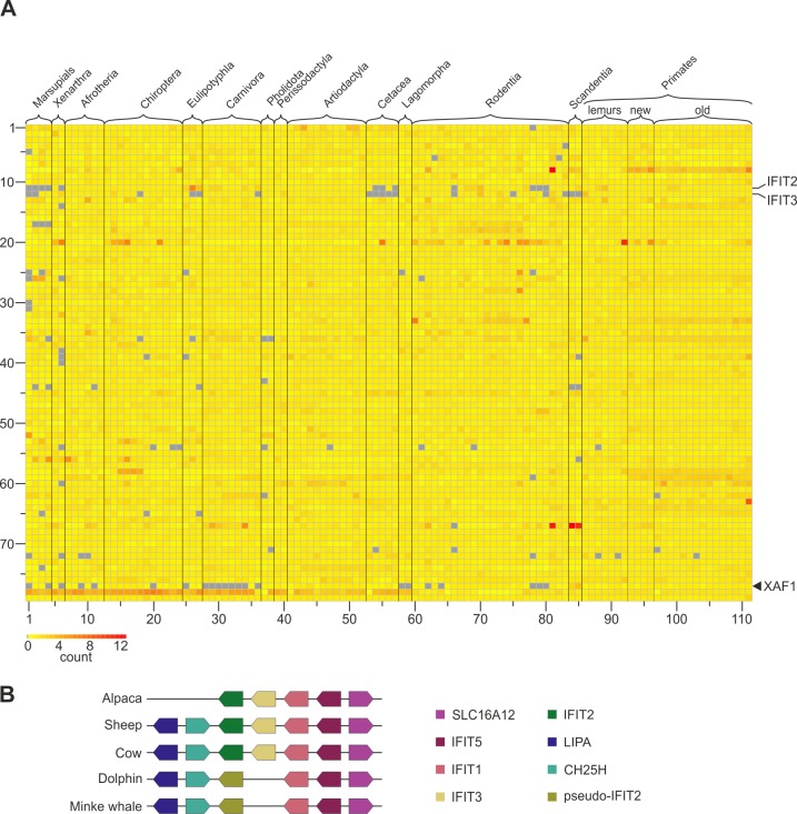 An external file that holds a picture, illustration, etc.
Object name is pbio.2004086.g005.jpg