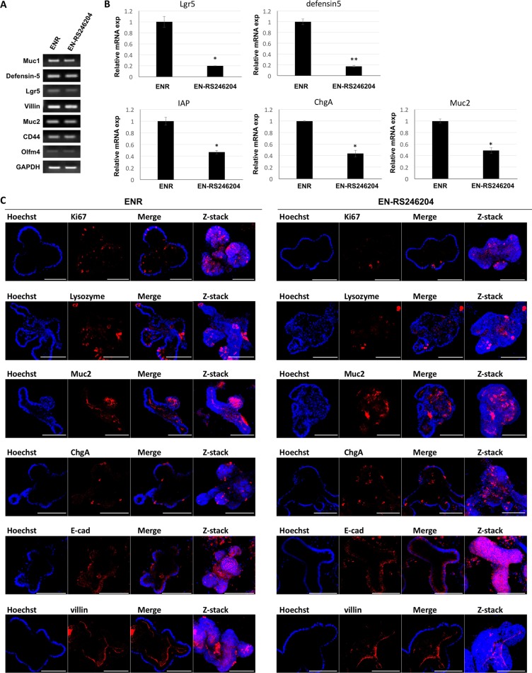 An external file that holds a picture, illustration, etc.
Object name is oncotarget-09-6356-g003.jpg