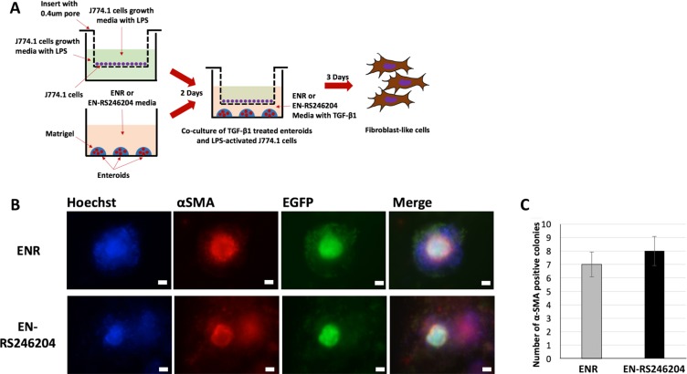 An external file that holds a picture, illustration, etc.
Object name is oncotarget-09-6356-g006.jpg