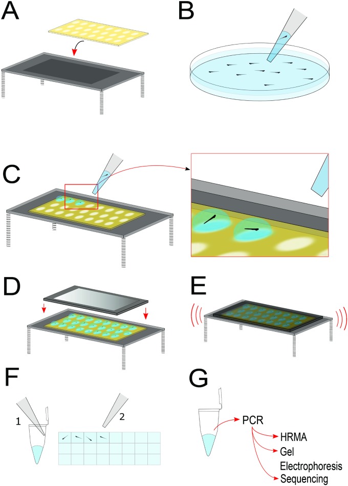 An external file that holds a picture, illustration, etc.
Object name is pone.0193180.g002.jpg