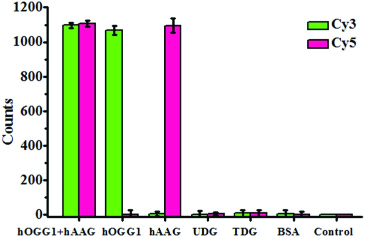 An external file that holds a picture, illustration, etc.
Object name is c7sc04296e-f4.jpg