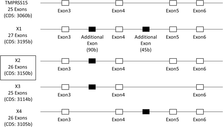 An external file that holds a picture, illustration, etc.
Object name is fcimb-08-00091-g0003.jpg