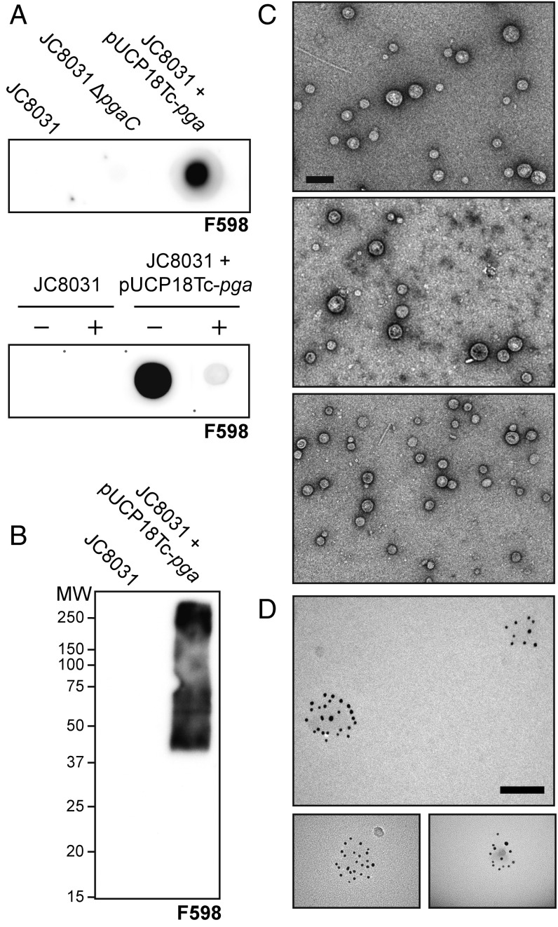 An external file that holds a picture, illustration, etc.
Object name is pnas.1718341115fig02.jpg