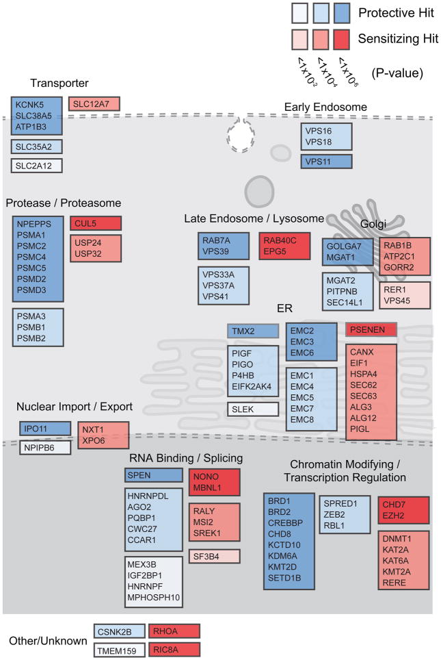 An external file that holds a picture, illustration, etc.
Object name is nihms937439f2.jpg