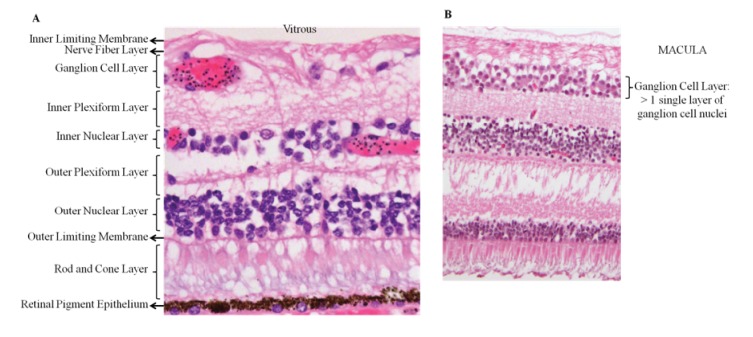 An external file that holds a picture, illustration, etc.
Object name is elife-32208-app1-fig2.jpg