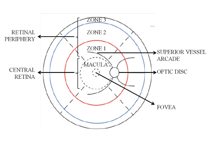 An external file that holds a picture, illustration, etc.
Object name is elife-32208-app2-fig1.jpg