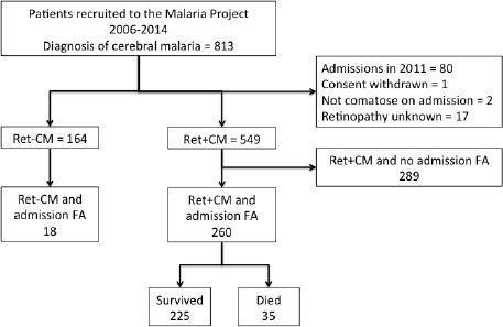 An external file that holds a picture, illustration, etc.
Object name is elife-32208-fig8.jpg