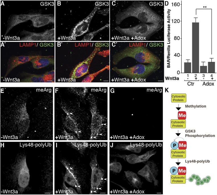 An external file that holds a picture, illustration, etc.
Object name is pnas.1804091115fig03.jpg