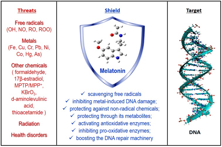 An external file that holds a picture, illustration, etc.
Object name is molecules-23-00530-g002.jpg