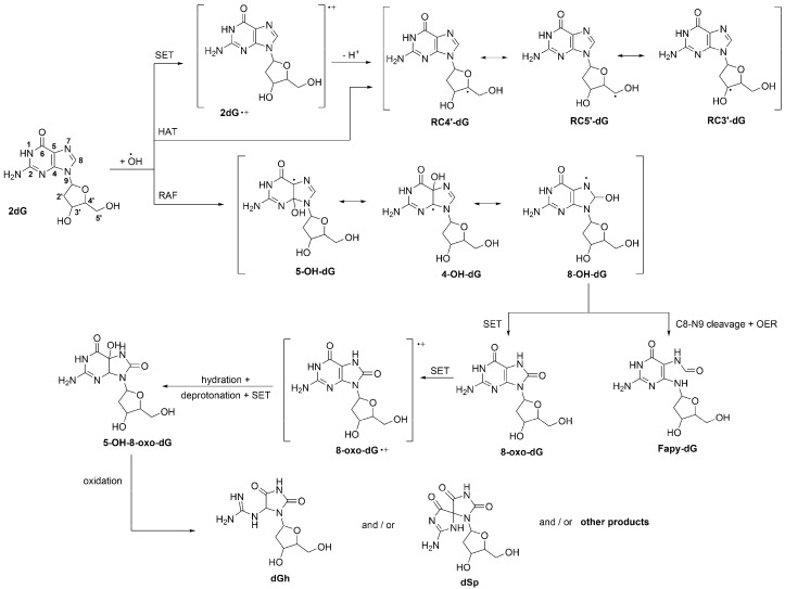 An external file that holds a picture, illustration, etc.
Object name is molecules-23-00530-sch001.jpg