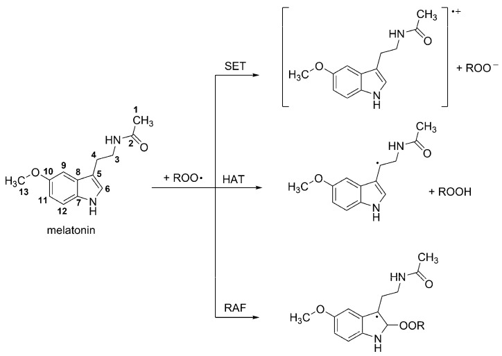 An external file that holds a picture, illustration, etc.
Object name is molecules-23-00530-sch002.jpg