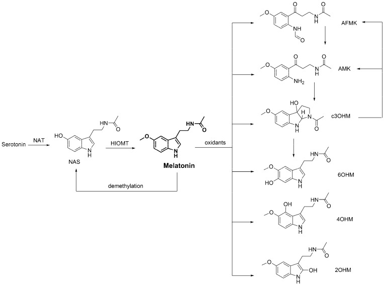 An external file that holds a picture, illustration, etc.
Object name is molecules-23-00530-sch005.jpg