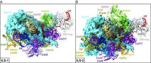 An external file that holds a picture, illustration, etc.
Object name is pnas.1802963115fig01.jpg