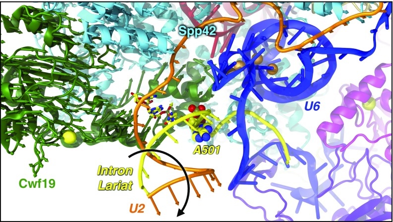 An external file that holds a picture, illustration, etc.
Object name is pnas.1802963115fig03.jpg