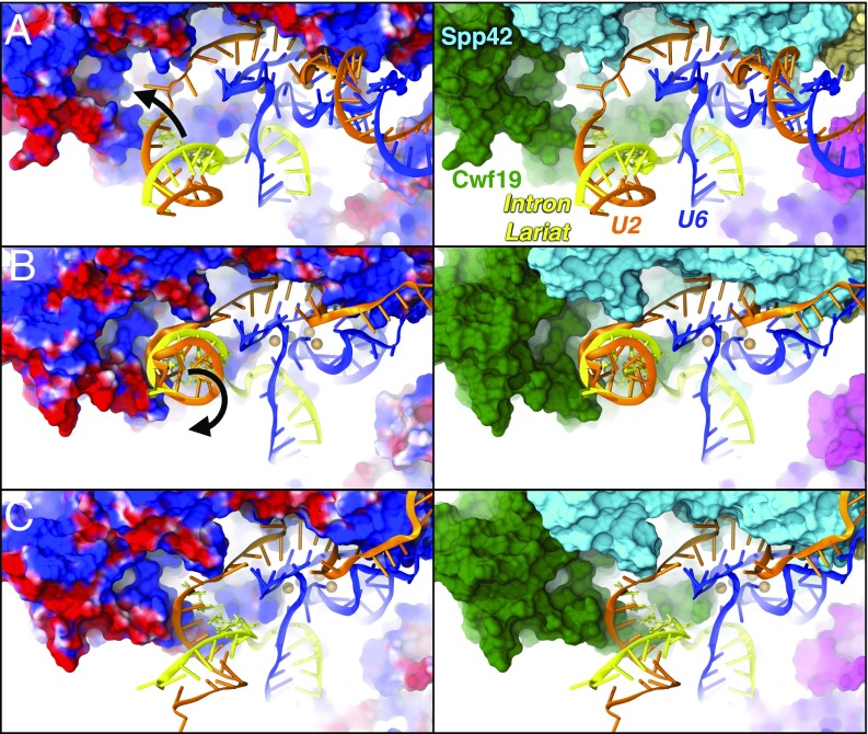 An external file that holds a picture, illustration, etc.
Object name is pnas.1802963115fig04.jpg