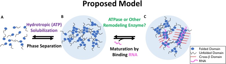 An external file that holds a picture, illustration, etc.
Object name is elife-35224-fig9.jpg