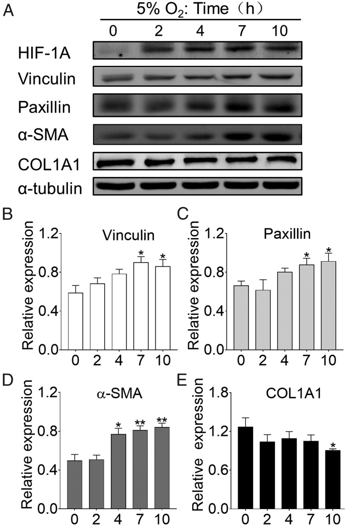 An external file that holds a picture, illustration, etc.
Object name is pnas.1721443115fig05.jpg