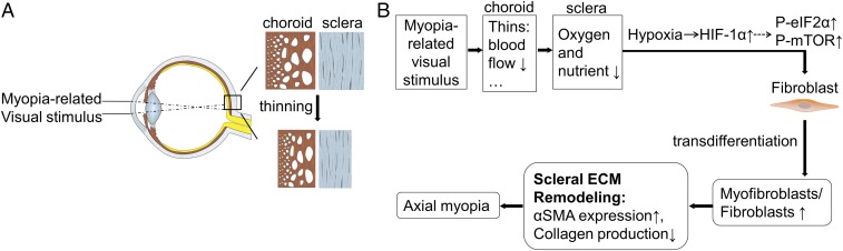 An external file that holds a picture, illustration, etc.
Object name is pnas.1721443115fig07.jpg