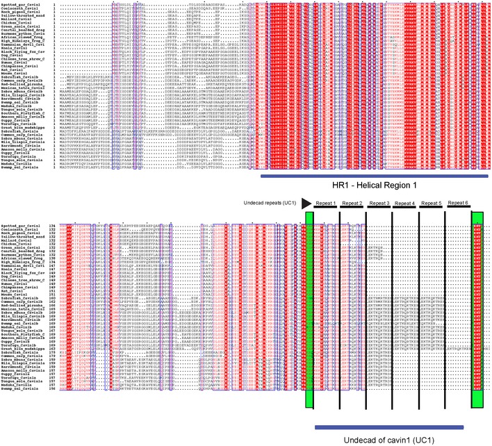 An external file that holds a picture, illustration, etc.
Object name is EMBR-19-e45775-g005.jpg