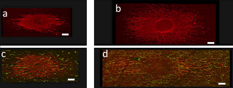 An external file that holds a picture, illustration, etc.
Object name is nihms-1500908-f0004.jpg