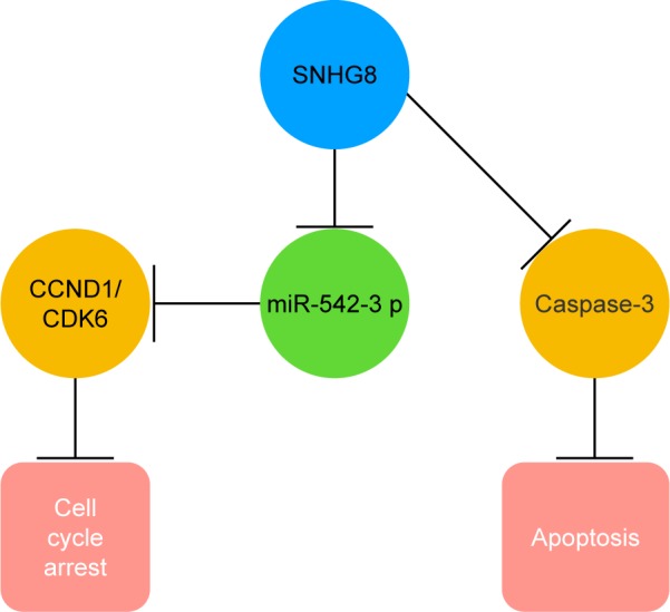 An external file that holds a picture, illustration, etc.
Object name is ott-11-6081Fig7.jpg