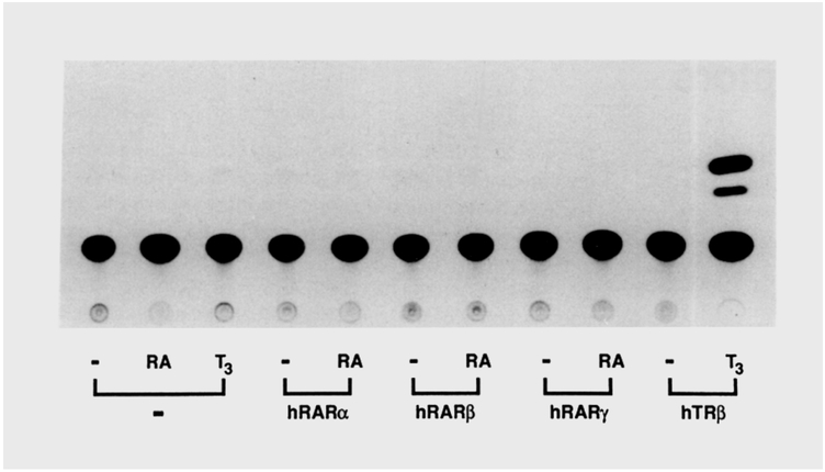 An external file that holds a picture, illustration, etc.
Object name is nihms-989145-f0001.jpg