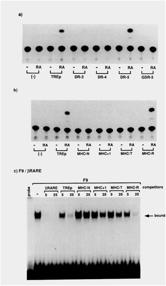 An external file that holds a picture, illustration, etc.
Object name is nihms-989145-f0008.jpg