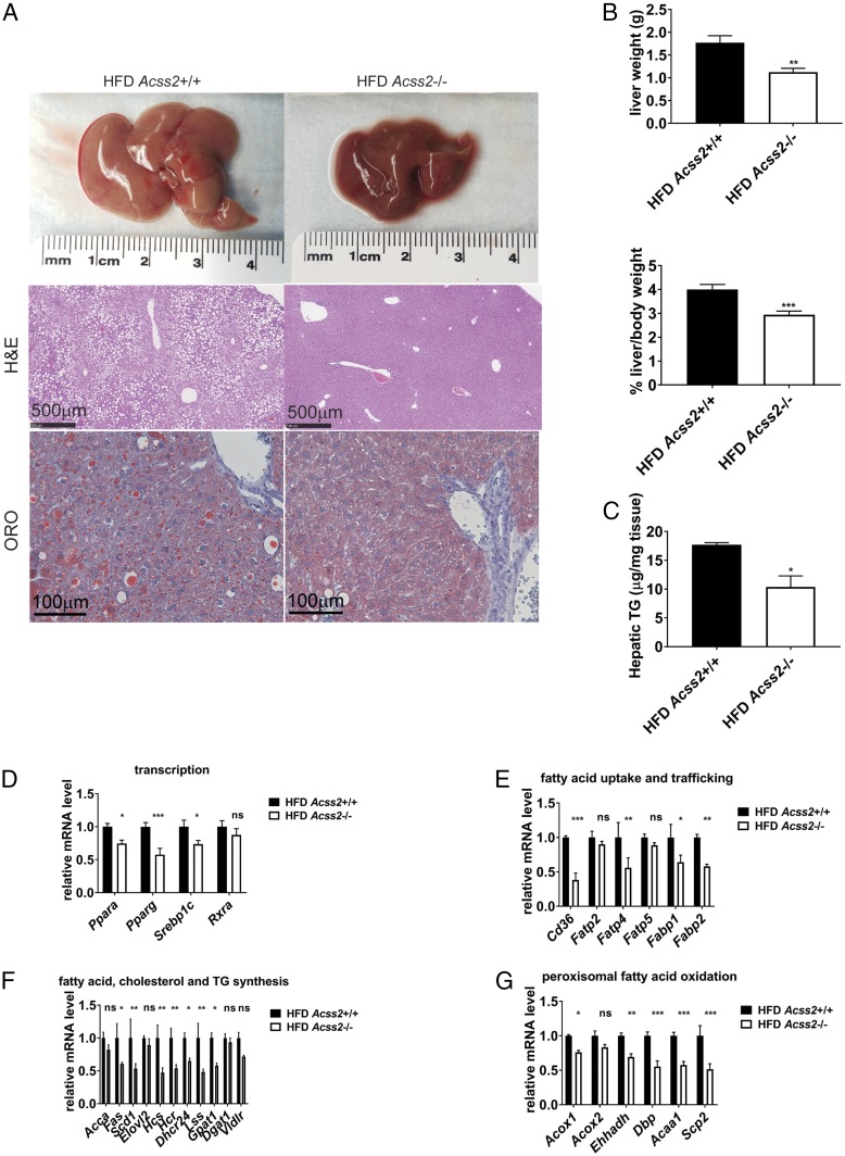 An external file that holds a picture, illustration, etc.
Object name is pnas.1806635115fig02.jpg