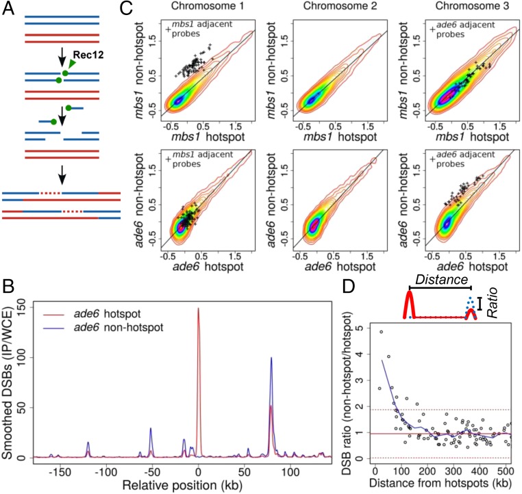 An external file that holds a picture, illustration, etc.
Object name is pnas.1801920115fig01.jpg