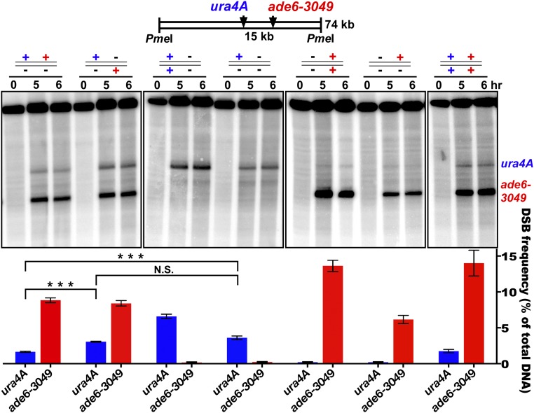 An external file that holds a picture, illustration, etc.
Object name is pnas.1801920115fig02.jpg