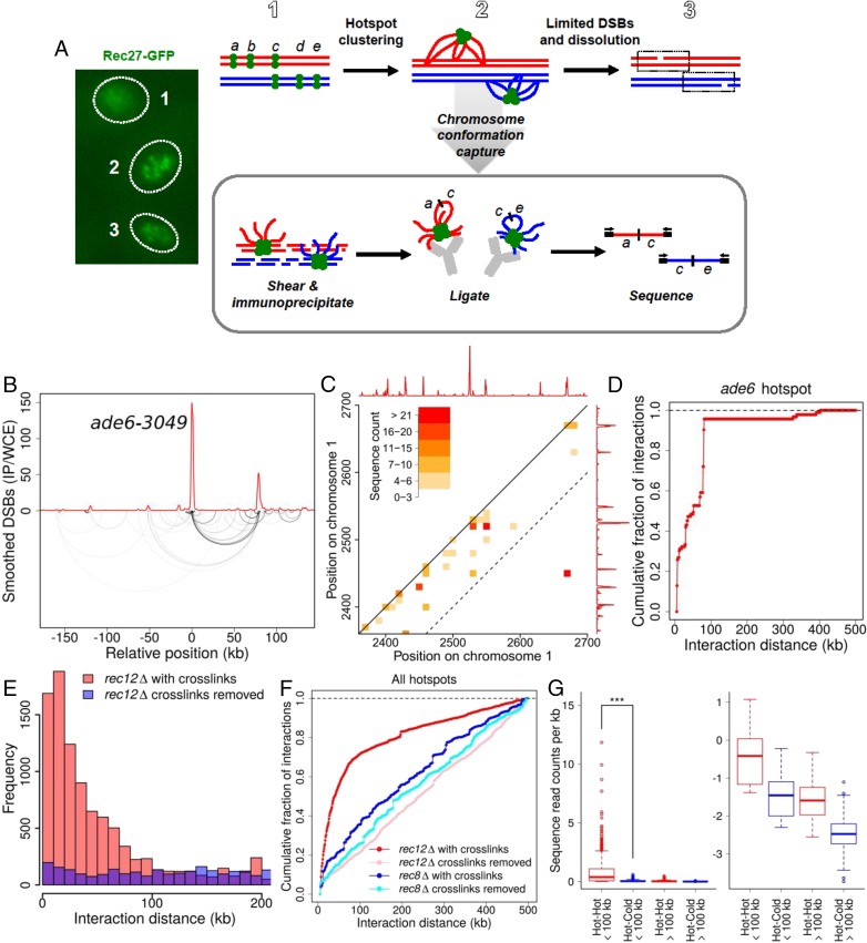 An external file that holds a picture, illustration, etc.
Object name is pnas.1801920115fig04.jpg