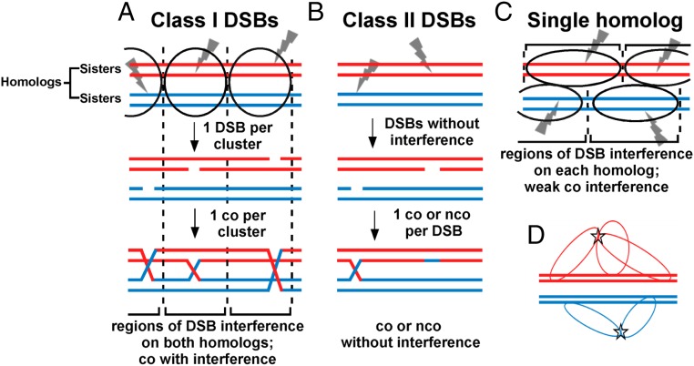 An external file that holds a picture, illustration, etc.
Object name is pnas.1801920115fig05.jpg