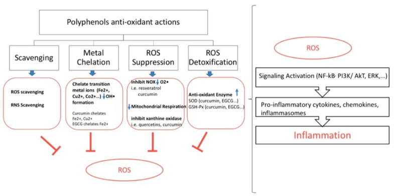 An external file that holds a picture, illustration, etc.
Object name is nutrients-10-01618-g002.jpg