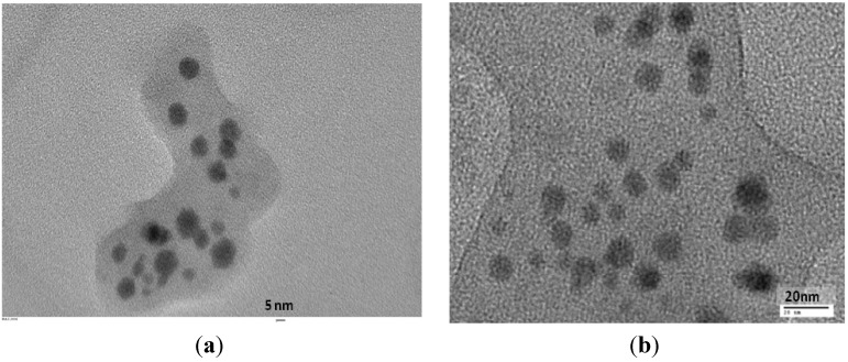 An external file that holds a picture, illustration, etc.
Object name is molecules-19-02761-g002.jpg