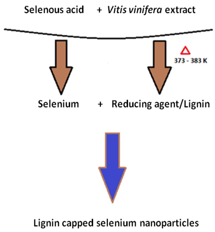 An external file that holds a picture, illustration, etc.
Object name is molecules-19-02761-g007.jpg