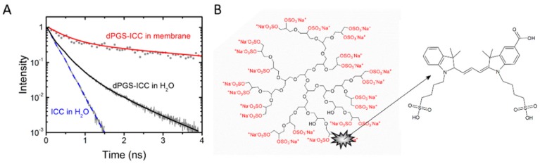 An external file that holds a picture, illustration, etc.
Object name is molecules-21-00022-g001.jpg