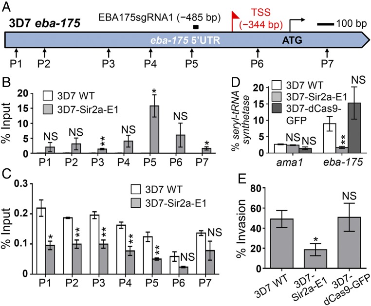 An external file that holds a picture, illustration, etc.
Object name is pnas.1813542116fig03.jpg