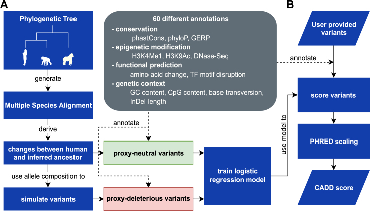 An external file that holds a picture, illustration, etc.
Object name is gky1016fig1.jpg