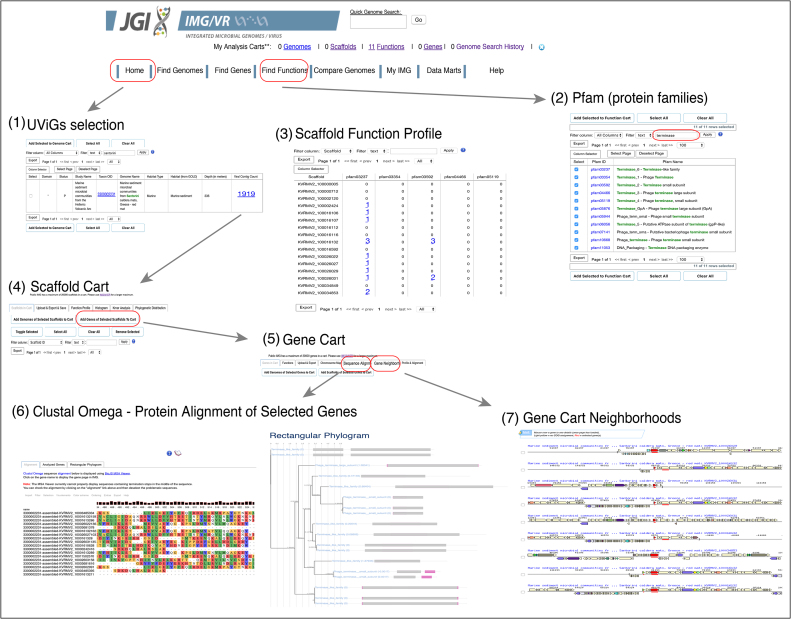 An external file that holds a picture, illustration, etc.
Object name is gky1127fig3.jpg