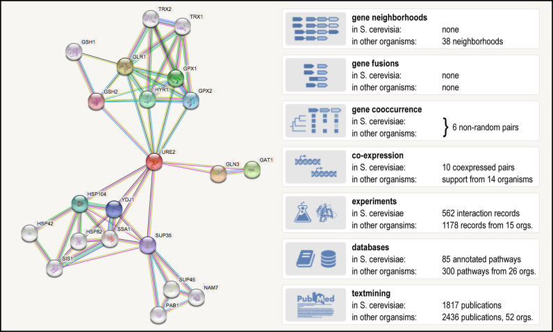 An external file that holds a picture, illustration, etc.
Object name is gky1131fig1.jpg