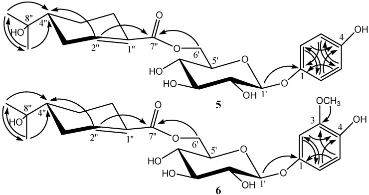 An external file that holds a picture, illustration, etc.
Object name is molecules-20-14377-g002.jpg