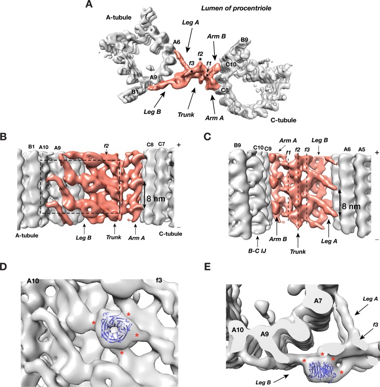 An external file that holds a picture, illustration, etc.
Object name is elife-43434-fig3.jpg