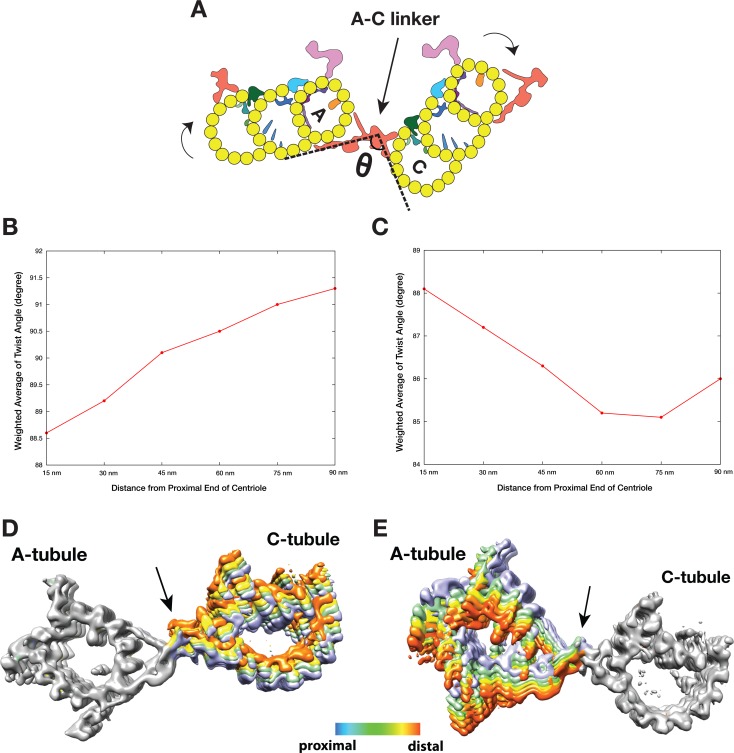 An external file that holds a picture, illustration, etc.
Object name is elife-43434-fig4.jpg