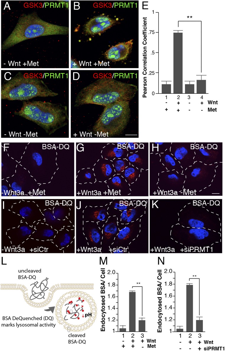 An external file that holds a picture, illustration, etc.
Object name is pnas.1820161116fig02.jpg