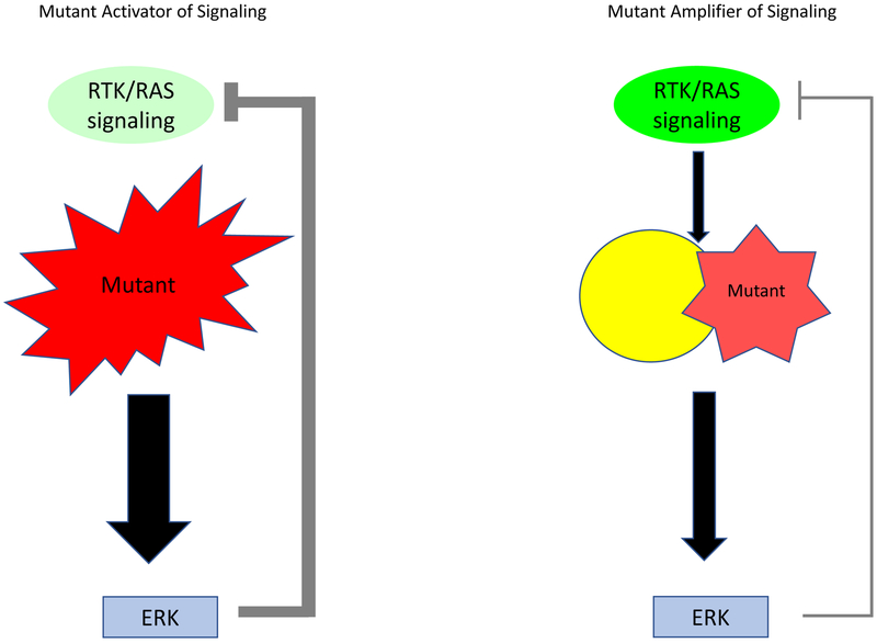 An external file that holds a picture, illustration, etc.
Object name is nihms-1519373-f0001.jpg