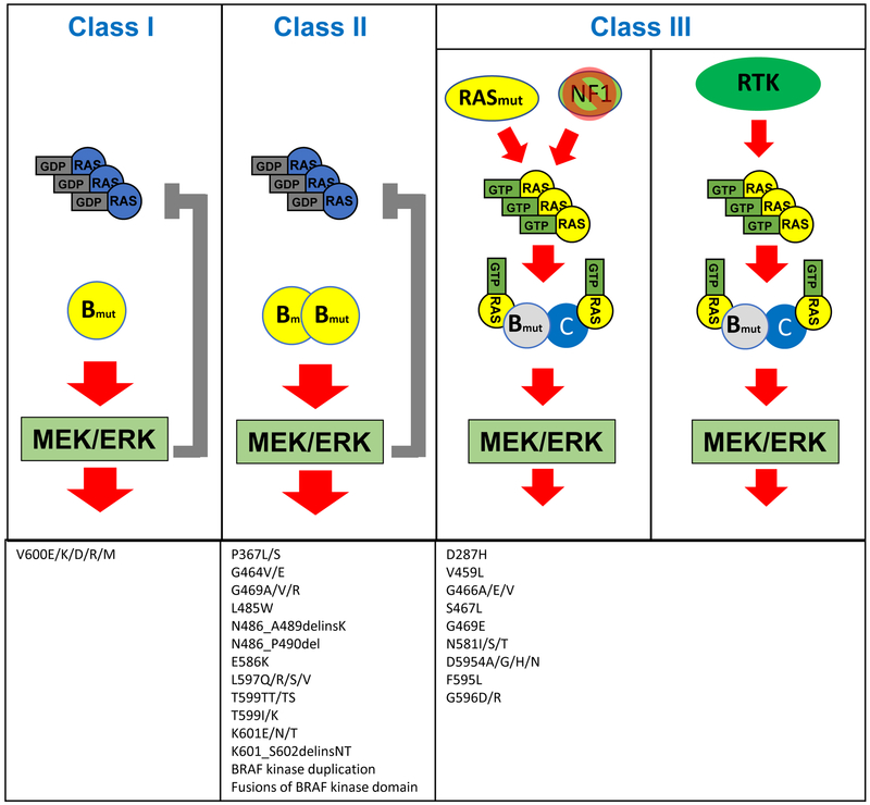 An external file that holds a picture, illustration, etc.
Object name is nihms-1519373-f0002.jpg